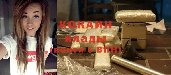шишки Лихославль
