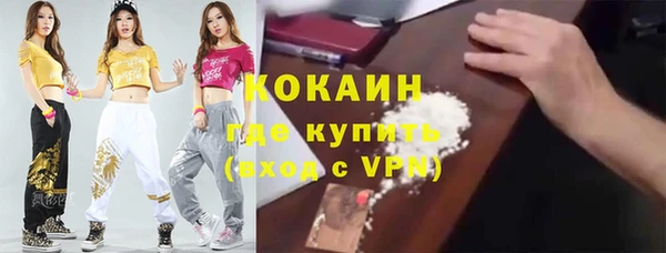 шишки Лихославль