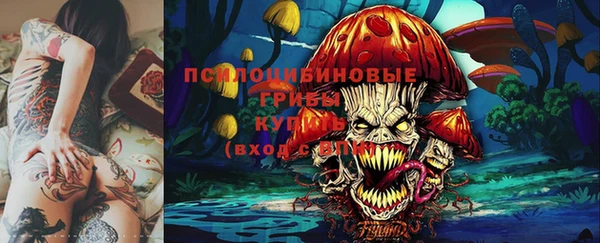 шишки Лихославль