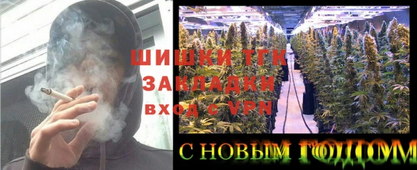 шишки Лихославль