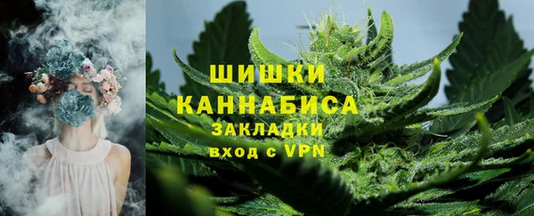 шишки Лихославль