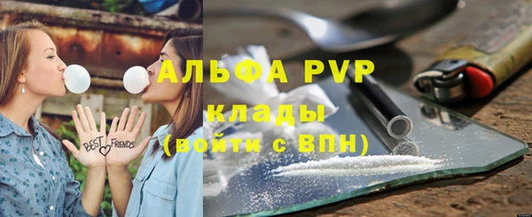 шишки Лихославль