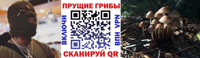 Галлюциногенные грибы Magic Shrooms Свирск