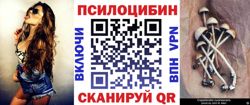 Псилоцибиновые грибы Cubensis  блэк спрут зеркало  Свирск 